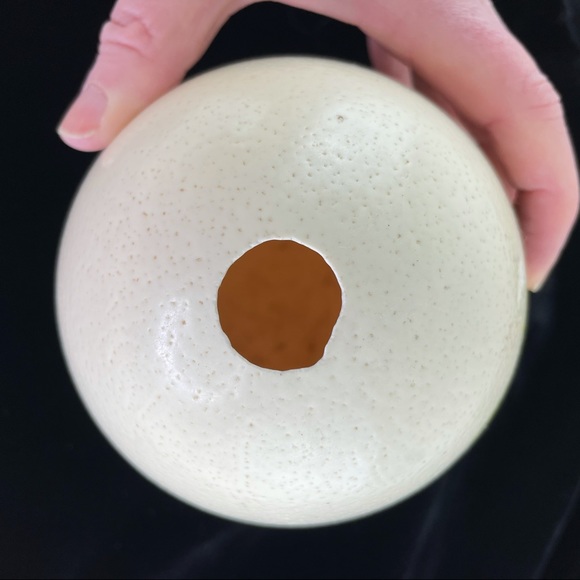 Vintage Hand-Painted Ostrich Egg - Picture 2 of 11